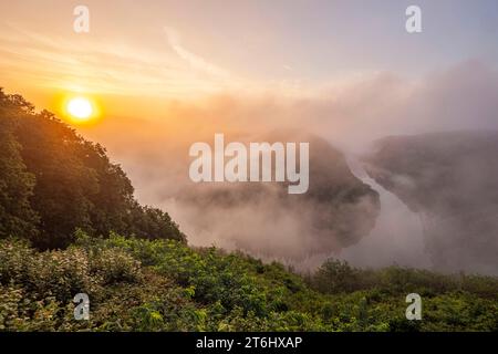 Morgennebel an der Saarschleife bei Mettlach bei Sonnenaufgang, Saar, Saartal, Naturpark Saar, Hunsrück, Saarland, Deutschland Stockfoto