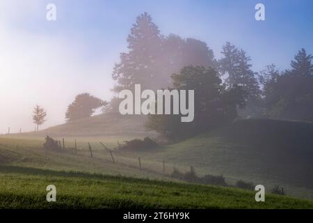 Nebelstimmungen im fünf-Seen-Land, Pähl, Oberbayern, Bayern, Deutschland Stockfoto