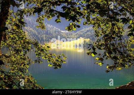 Obersee bei Königsee, Schönau am Königsee, Berchtesgaden, Oberbayern, Bayern, Deutschland, Europa Stockfoto