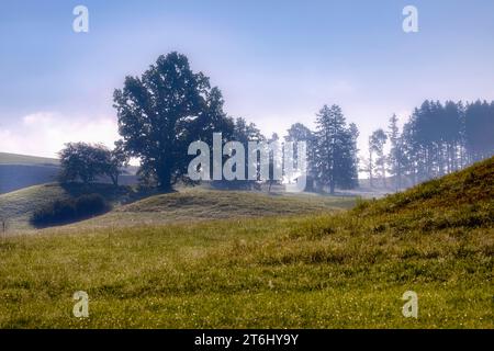 Nebelstimmungen im fünf-Seen-Land, Pähl, Oberbayern, Bayern, Deutschland Stockfoto