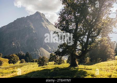 Familientour zur Schwarzenberghütte, Hinterstein, Allgäu, Bayern, Deutschland Stockfoto