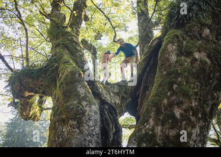 Familientour zur Schwarzenberghütte, Hinterstein, Allgäu, Bayern, Deutschland Stockfoto