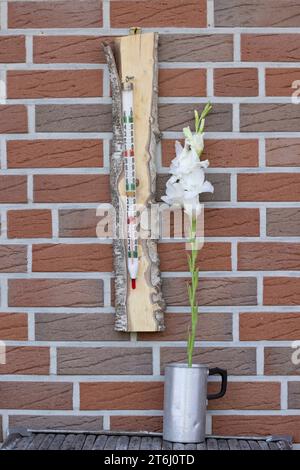 Altes Quecksilberthermometer im Holzgestell an einer Hauswand mit Gladiolen Stockfoto