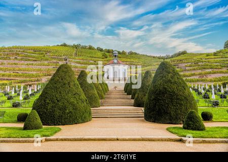 Schloss Wackebarth Belvedere, Barockgarten, Sächsisches Landesweingut, Oberlößnitz, Radebeul, Sachsen, Deutschland, Europa Stockfoto