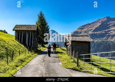 Touristen Wandern, Fröstlberg, Ritterkopf, 3006 m, Rauris, Raurisertal, Pinzgau, Salzburger Land, Österreich Stockfoto