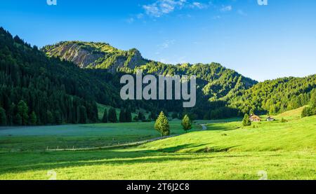 Wiesen und Wälder im malerischen Gunzesried-Tal an einem sonnigen Morgen im Spätsommer. Blick auf den Siplinger Kopf. Allgäuer Alpen, Bayern, Deutschland, Europa Stockfoto
