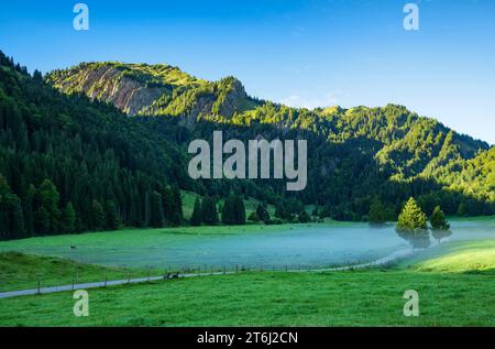 Wiesen und Wälder im malerischen Gunzesried-Tal an einem sonnigen Morgen im Spätsommer. Blick auf den Siplinger Kopf. Allgäuer Alpen, Bayern, Deutschland, Europa Stockfoto