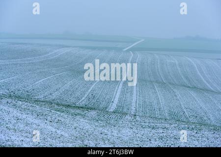 Kraichgau, schneebedecktes Feld. Stockfoto