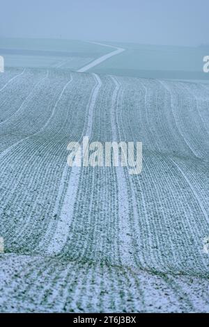 Kraichgau, schneebedecktes Feld. Stockfoto