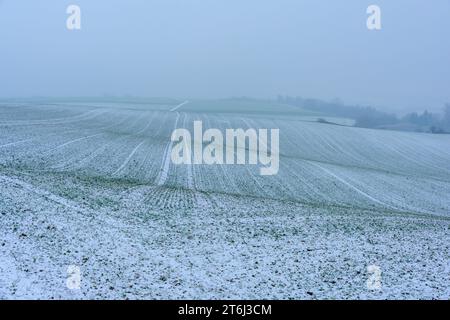 Kraichgau, schneebedecktes Feld. Stockfoto