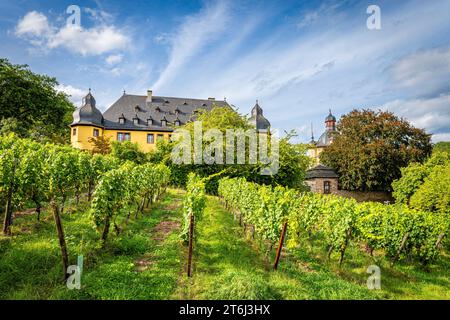 Schloss Vollrads im Rheingau, berühmtes Prädikatsweingut, bekannt für seinen Top-Riesling, anfangs als Wasserschloss erbaut, Familienbesitz der Grafen Matuschka-Greiffenclau, Stockfoto