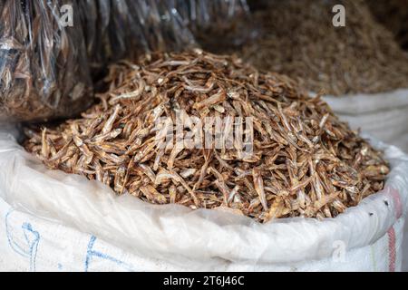 Getrockneter Fisch in einem Geschäft in der Gegend von Tejgaon Slum, Dhaka, Bangladesch Stockfoto