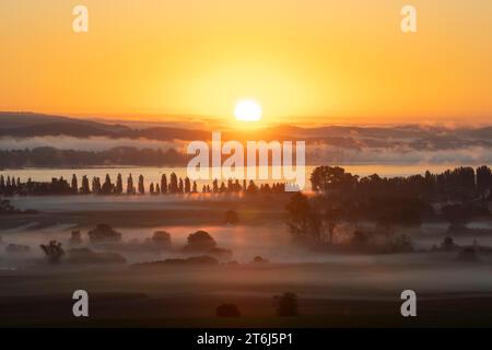 Früh morgens Nebel mit Sonnenaufgang über dem Radolfzeller Aachried, Bodensee dahinter, Radolfzell, Landkreis Konstanz, Baden-Württemberg, Deutschland Stockfoto