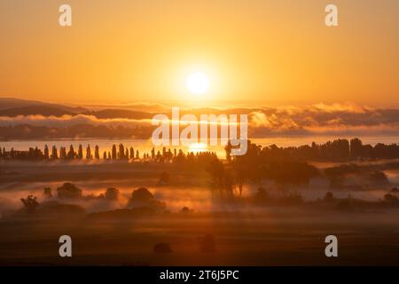 Früh morgens Nebel mit Sonnenaufgang über dem Radolfzeller Aachried, Bodensee dahinter, Radolfzell, Landkreis Konstanz, Baden-Württemberg, Deutschland, Euro Stockfoto