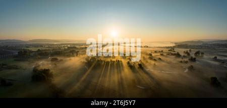 Luftpanorama des Radolfzeller Aachried bei Sonnenaufgang und Bodennebel, am Horizont der westliche Teil des Bodensees, Radolfzell, Konstanz Stockfoto