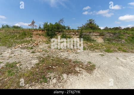 Naturschutzgebiet Höhfeldplatte bei Thüngersheim, Landkreis Main-Spessart, Niederfranken, Bayern, Deutschland Stockfoto