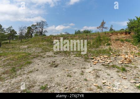 Naturschutzgebiet Höhfeldplatte bei Thüngersheim, Landkreis Main-Spessart, Niederfranken, Bayern, Deutschland Stockfoto