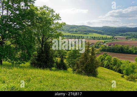 Halbarides Grünland Neuenberg in Ibengarten bei Glattbach, Biosphärenreservat Rhön, Gemeinde Dermbach, Wartburgkreis, Thüringen, Deutschland Stockfoto