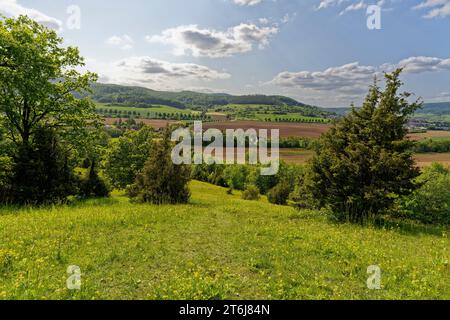 Halbarides Grünland Neuenberg in Ibengarten bei Glattbach, Biosphärenreservat Rhön, Gemeinde Dermbach, Wartburgkreis, Thüringen, Deutschland Stockfoto