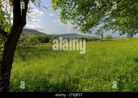 Halbarides Grünland Neuenberg in Ibengarten bei Glattbach, Biosphärenreservat Rhön, Gemeinde Dermbach, Wartburgkreis, Thüringen, Deutschland Stockfoto