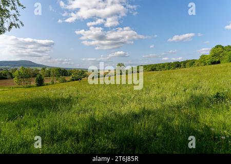 Halbarides Grünland Neuenberg in Ibengarten bei Glattbach, Biosphärenreservat Rhön, Gemeinde Dermbach, Wartburgkreis, Thüringen, Deutschland Stockfoto