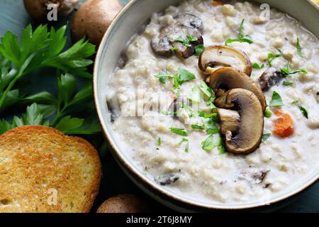 Pilzsuppe mit Portabella-Pilzen, Karotten und frischer Petersilie. Serviert mit geröstetem französischem Brot auf einem grünen Holztisch. Selektiver Fokus. Stockfoto