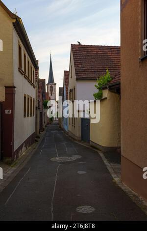 Historische Dorfmitte der Weinbaugemeinde Thüngersheim am Main im Abendlicht, Landkreis Main-Spessart, Niederfranken, Bayern, Deutschland Stockfoto