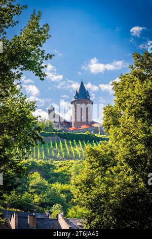 Die Stadt Bacharach am Mittelrhein, die Burg Stahleck und mehrere Stadttürme umrahmen die Kernstadt, die Werner-Kapelle und die St. Peter fällt auf, Stockfoto