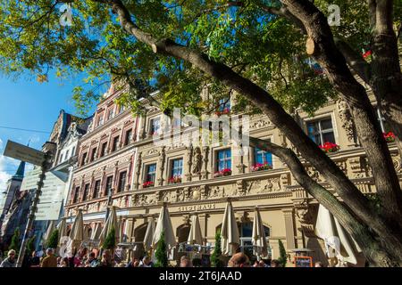 Renaissancehaus am Fischmarkt, Altstadt, Erfurt, Thüringen Stockfoto