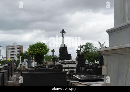 Salvador, Bahia, Brasilien - 2. November 2023: Gräber auf dem Friedhof Campo Santo in der Stadt Salvador, Bahia. Stockfoto