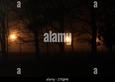 Leere Nachtstraße mit Nebel und Lichtern Stockfoto
