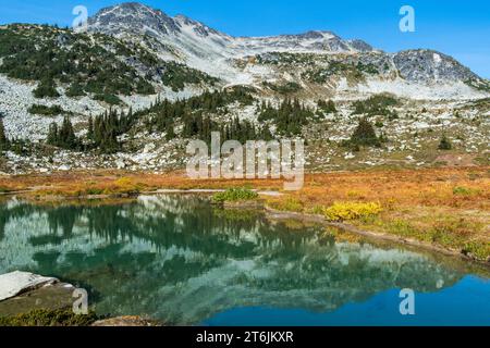 Wunderschöner Blick auf Whistler und Garibaldi Provincial Park Mountains, British Columbia, BC Kanada Stockfoto