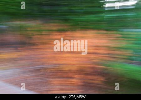 Abstrakter unscharfer Hintergrund mit Herbstfarben, grün und orange Stockfoto