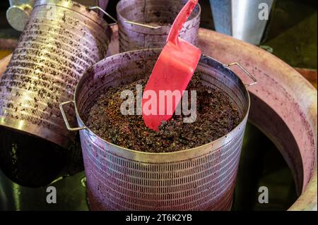 Weinlese, Gärung von gepresstem Traubensaft in Stahlfässern, Rebsorte Cabernet Sauvignon aus den Weinbergen Haut-Medoc in Bordeaux, links Stockfoto