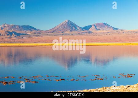 Der Vulkan Licancabur wird zur goldenen Stunde von der Laguna Tebinquinche in der Atacama-Wüste im Norden Chiles aus gesehen. Stockfoto