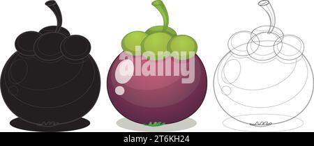 Mangostan Frucht Design Illustration Vektor Stock Vektor
