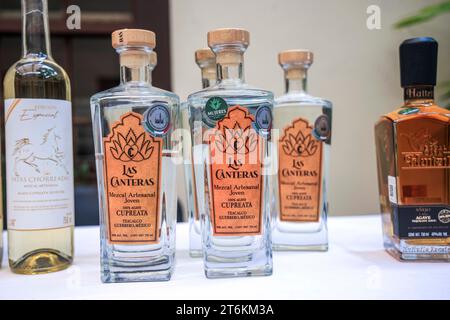 Bacanora destilliert aus Agave aus dem Bundesstaat Sonora, Mexiko. Es wird aus dem Kochen, Fermentieren und Destillieren von Agave wie Tequila, Mezcal, Sotol und Ricilla hergestellt; diese vier alkoholischen Getränke sind durch Ursprungsbezeichnungen geschützt. ... (Foto: Luis Gutierrez/Norte Photo) Bacanora destilado de Agve originario del estado de Sonora, Mexiko. SE elabora a partir del cocimiento, fermentación y destilación de Agve, al igual que el tequila, mezcal, sotol y raicilla; Estas cuatro bebidas alcohólicas están protegidas por denominaciones de origen. (Foto: Luis Gutierrez/ Stockfoto