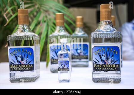 Bacanora destilliert aus Agave aus dem Bundesstaat Sonora, Mexiko. Es wird aus dem Kochen, Fermentieren und Destillieren von Agave wie Tequila, Mezcal, Sotol und Ricilla hergestellt; diese vier alkoholischen Getränke sind durch Ursprungsbezeichnungen geschützt. ... (Foto: Luis Gutierrez/Norte Photo) Bacanora destilado de Agve originario del estado de Sonora, Mexiko. SE elabora a partir del cocimiento, fermentación y destilación de Agve, al igual que el tequila, mezcal, sotol y raicilla; Estas cuatro bebidas alcohólicas están protegidas por denominaciones de origen. (Foto: Luis Gutierrez/ Stockfoto