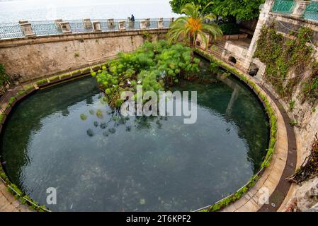 Arethusa Frühling in Ortigia - Sizilien - Italien Stockfoto