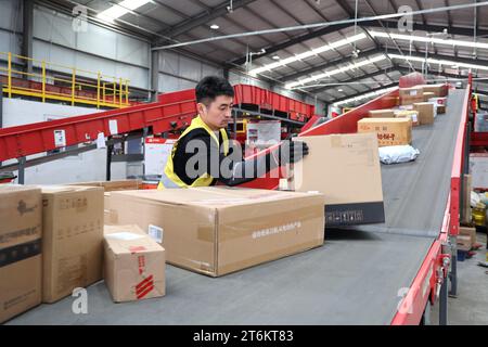 BINZHOU, CHINA - 11. NOVEMBER 2023 - Arbeiter sortieren Expresspakete bei einem Logistikunternehmen in Binzhou, Provinz Shandong, China, 11. November 2023. Stockfoto