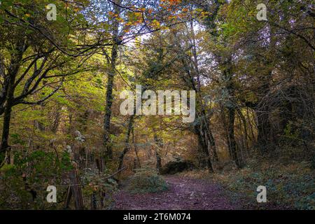 Route durch die Quelle von Urederra. Navarra. Spanien. Stockfoto