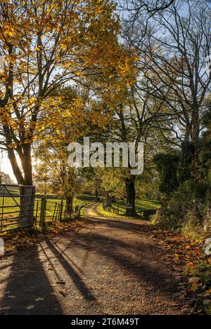 Landstraßen bei Herbstsonne Stockfoto