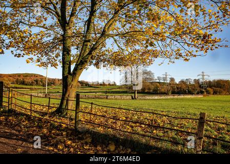Landstraßen bei Herbstsonne Stockfoto