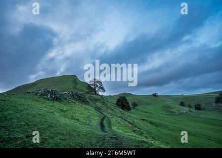 Wunderschönes Landschaftsbild von Chrome Hill im Herbst im Peak District National Park in englischer Landschaft Stockfoto