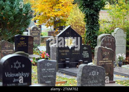 9. November 2023, Brandenburg, Potsdam: Grabsteine auf dem Jüdischen Friedhof in Potsdam. Foto: Soeren Stache/dpa Stockfoto