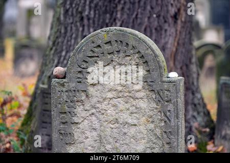 9. November 2023, Brandenburg, Potsdam: Grabstein auf Potsdams jüdischem Friedhof, vor dem Baum steht der Stein eines der Vorfahren des irisch-deutschen Geigers Daniel Hope. Foto: Soeren Stache/dpa Stockfoto