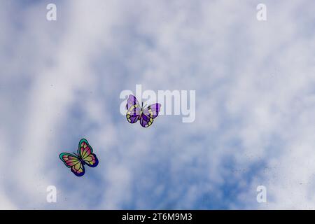 Zwei Schmetterlinge vor blauem und bewölktem Himmel. Schmetterlingsaufkleber an einem Fenster. Gemeinsames Konzept. Insektengrafik, Abbildung. Stockfoto