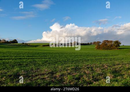 Ein Blick über das Ackerland in der Nähe von Hamsey in Sussex an einem sonnigen Novembertag Stockfoto
