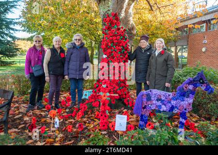 Burnham, Großbritannien. November 2023. Damen von der Burnham TownsWomen's Guild haben gehäkelte Mohngirlande vor der Burnham Park Hall im Dorf Burnham, Buckinghamshire, für den heutigen Waffenstillstandstag und den morgigen Gedenktag hinzugefügt, wenn an die Gefallenen während des Ersten und Zweiten Weltkriegs erinnert wird. Es gibt Bedenken, dass der Pro-Palästina-marsch in London und anderen Städten Großbritanniens an diesem Wochenende zu Gewalt auf den Straßen führen könnte. Quelle: Maureen McLean/Alamy Live News Stockfoto