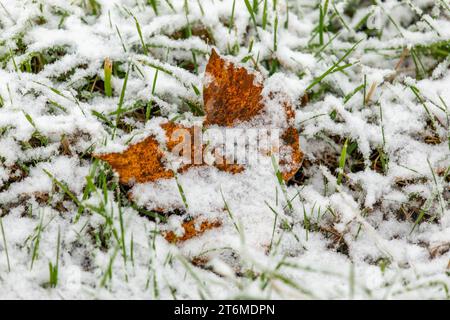 231111Schnee News ID: EN 2023-11-11 Schneefälle sorgen für Glättegefahr Selbst in niedergelegenen Regionen des Erzgebirges, Schneefälle Zwönitz. Ein kleines Randtief hat am Samstagmittag den ersten richtigen Schnee in das Erzgebirge gebracht. Gegen 11 Uhr gesetzt im Vogtland und im Erzgebirge dichtes Schneetreiben ein. Dazu erreichten die Temperaturen nur knapp den Gefrierpunkt. In vielen Regionen im Erzgebirge sorgten reichten die Schneefälle für eine kleine Schneedecke. Angezuckert zeigt sich dabei Hausdächer, Autos und Wiesen. Vor allem im oberen Erzgebirge sollte man derzeit mit glatten Stockfoto